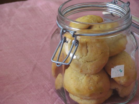 עוגיות עם צנוברים