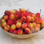 ריבת דובדבנים